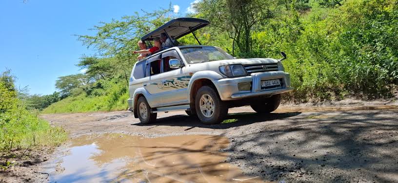 Best Tyres for Safari & Off-Road Driving in Uganda's National Parks